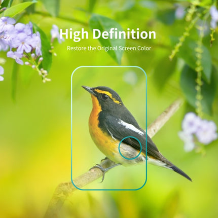 For Samsung Galaxy A23 / A53 ENKAY 0.2mm 9H Tempered Glass Camera Lens Film, For Samsung Galaxy A23 / A53 (1 PC), For Samsung Galaxy A23 / A53 (2 PCS), For Samsung Galaxy A23 / A53 (5 PCS), For Samsung Galaxy A23 / A53 (10 PCS)