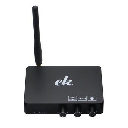 Home TV Network Karaoke Singing Equipment Set Sound Card Wireless Microphone Computer Karaoke KTV Set-top Box, black