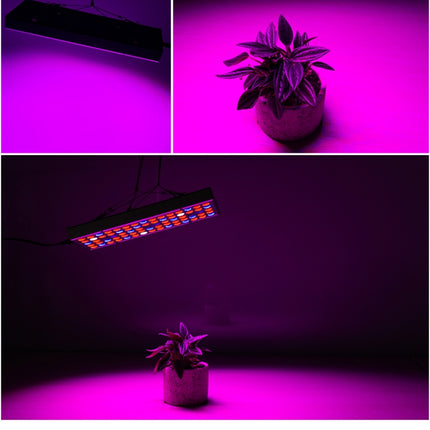 25W 75LEDs Full Spectrum Plant Lighting Fitolampy For Plants Flowers Seedling Cultivation Growing Lamps LED Grow Light  AC85-265V, US, EU