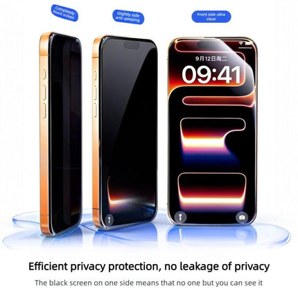 10pcs 300CC Large Arc Antistatic Corning Gorilla Privacy Tempered Glass Film, For iPhone 12 Pro