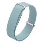 For Google Fitbit Air / Official Mist