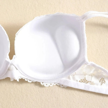 1 Set Elegant Erotic Lace Embroidery Breathable Fabric Lingeries : Push-Up Bra, Low Waist Sheer Panty - Ultimate Valentine's Day