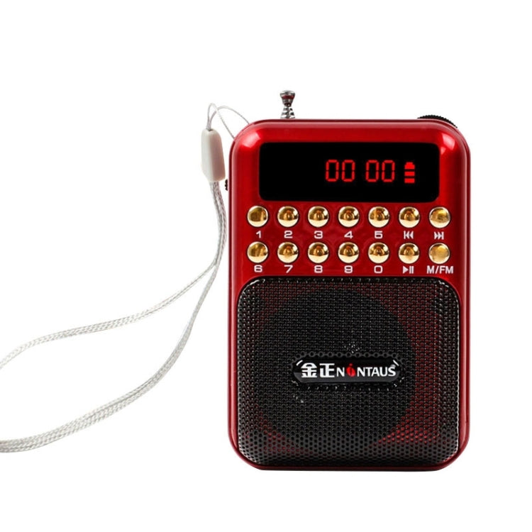 Portable Rechargeable FM Radio Receiver Speaker, Support USB / TF Card / Music MP3 Player