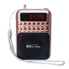 Portable Rechargeable FM Radio Receiver Speaker, Support USB / TF Card / Music MP3 Player