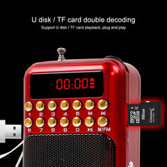 Portable Rechargeable FM Radio Receiver Speaker, Support USB / TF Card / Music MP3 Player