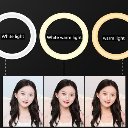 HQ-21N 21 inch 52.5cm LED Ring Vlogging Photography Video Lights Kits with Remote Control & Phone Clamp & 2.1m Tripod Mount, EU Plug, 21 inch