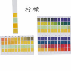 100 Strips/box  pH Test Strips 0-14 Scale Premium Litmus Tester Paper Ideal for Test pH Level of Water, 100 Strips