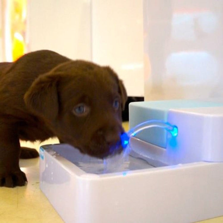 Pet aAutomatic Water Dispenser Cat Teddy Dog General Circulation Dog Feeder