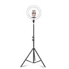 14 inch+Phone Clip With 2.1m Tripod Mount, CN Plug