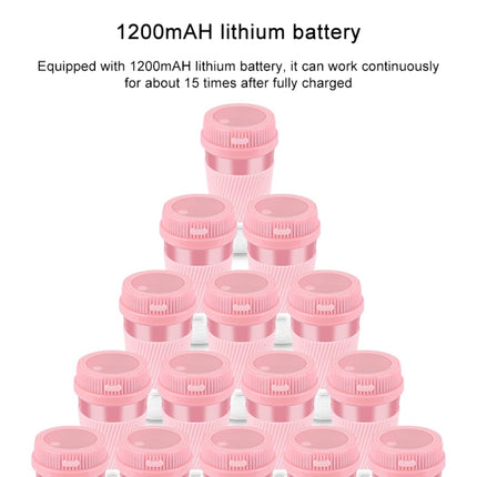 Portable USB Rechargeable Mini Household Electric Fruit Juicer, 250ml