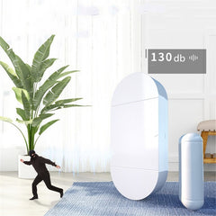 Household Door And Window Anti-theft Alarm Remote Control Wireless Door Magnetic Alarm