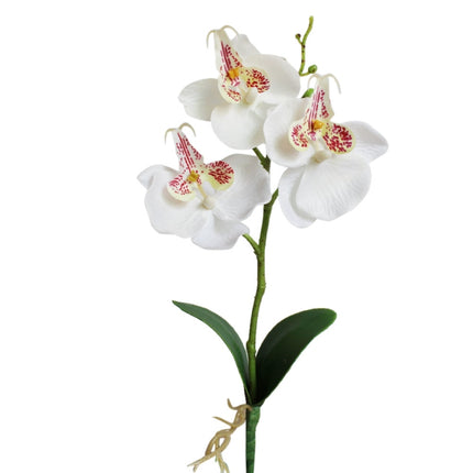 Decorative Landscaping Round Pot Three Flowers Phalaenopsis Bonsai Simulation Potted Plants