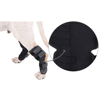 DogLemi PD60041 Dog Hock Brace Pet Supportive Rear Dog Compression Leg Joint Wrap Protects Wounds and Injury, S, M, L, XL