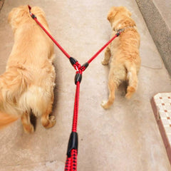 Double Dog Leashes Anti-winding Pet Traction Rope, 1.4m