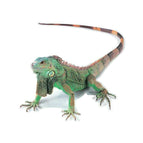 Lizard
