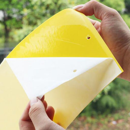 Double-sided Stick Insect Board Yellow Board Melon Fruit Fly Trap Board
