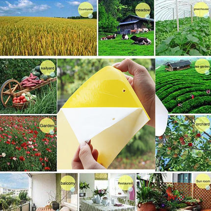 Double-sided Stick Insect Board Yellow Board Melon Fruit Fly Trap Board