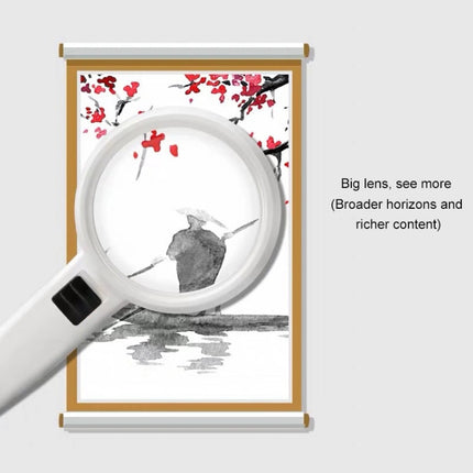 Handgehaltene hochauflösende Linse mit LED-Licht zum Lesen und Pflegen einer Lupe für ältere Menschen, 95 mm 10-fach, 110 mm 30-fach Doppellinse