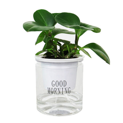 Automatic Water Absorption Hydroponic Pot Succulent Plant Flower Pot, Transparent Without Words, Transparent With Words