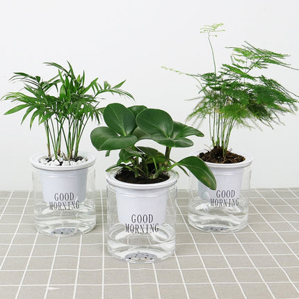 Automatic Water Absorption Hydroponic Pot Succulent Plant Flower Pot, Transparent Without Words, Transparent With Words