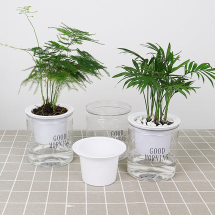 Automatic Water Absorption Hydroponic Pot Succulent Plant Flower Pot, Transparent Without Words, Transparent With Words