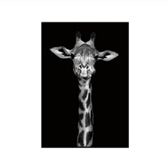 Simple Black and White Animal Decoration Painting Study Living Room Sofa Background Wall Painting Without Frame, 21X30cm, 30X40cm, 40X50cm, 40X60cm