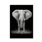 21X30cm / Elephant