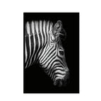 30X40cm / Zebra Head