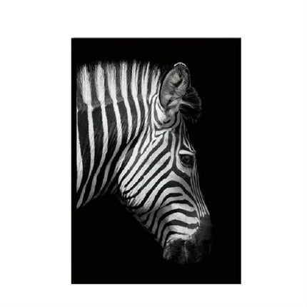 Simple Black and White Animal Decoration Painting Study Living Room Sofa Background Wall Painting Without Frame, 21X30cm, 30X40cm, 40X50cm, 40X60cm