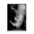 40X60cm / Rhinoceros