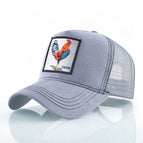 Gray Cock