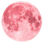 30cm Pink Moon