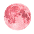 10cm Pink Moon