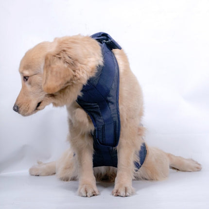 Pet Leash Senior Dogs Walking Aids Chest Harness, XS, S, M, L, XL