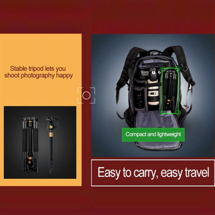 Q555 4-Section Folding Legs Aluminum Alloy Tripod Mount Monopod Holder with Ball Head, Q555