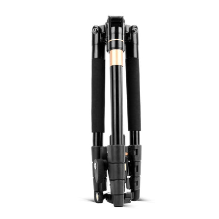 Q555 4-Section Folding Legs Aluminum Alloy Tripod Mount Monopod Holder with Ball Head, Q555