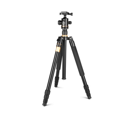 Q222 Portable 4-Section Folding Legs Aluminum Alloy Tripod Mount Monopod Holder with Ball Heads
