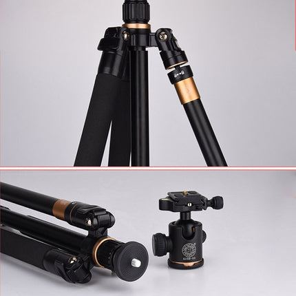 Q222 Portable 4-Section Folding Legs Aluminum Alloy Tripod Mount Monopod Holder with Ball Heads
