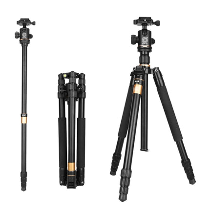 Q222 Portable 4-Section Folding Legs Aluminum Alloy Tripod Mount Monopod Holder with Ball Heads