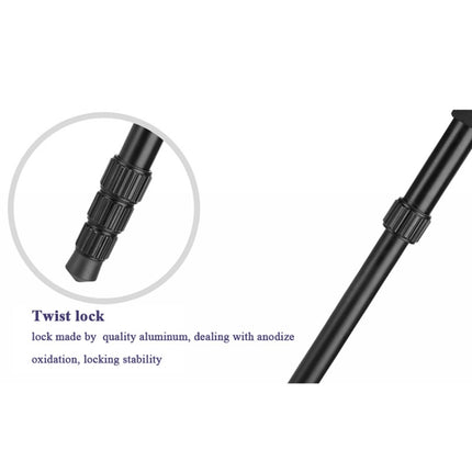 Q222 Portable 4-Section Folding Legs Aluminum Alloy Tripod Mount Monopod Holder with Ball Heads