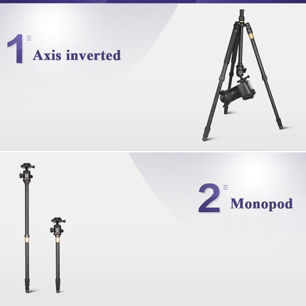 Q222 Portable 4-Section Folding Legs Aluminum Alloy Tripod Mount Monopod Holder with Ball Heads