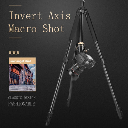 Q338 4-Section Folding Legs Live Broadcast Aluminum Alloy Tripod Mount, Q338With Three-dimensional Head, Q338 With Ball Head