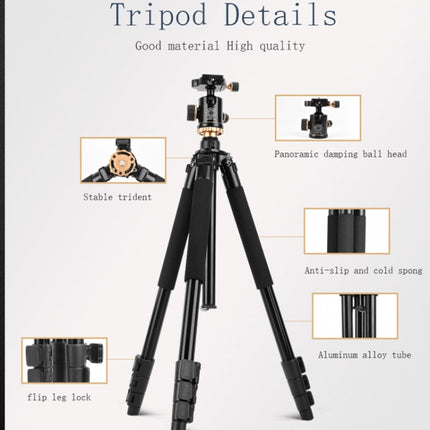 Q338 4-Section Folding Legs Live Broadcast Aluminum Alloy Tripod Mount, Q338With Three-dimensional Head, Q338 With Ball Head