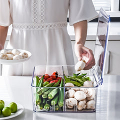 Food Storage Box Transparent Separated Fresh-Keeping Box Refrigerator Plastic Cold Storage Box, No Grid, Quarter Grid