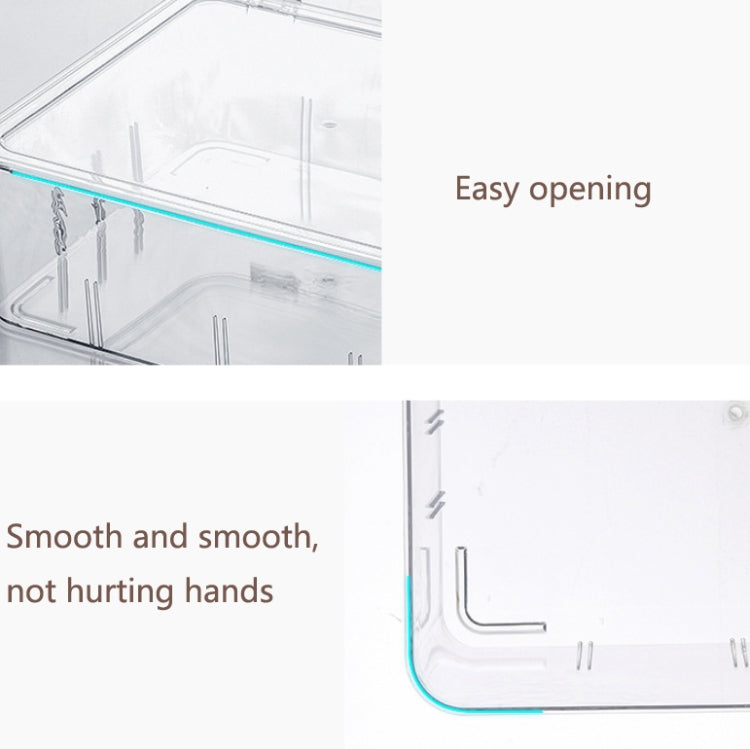 Food Storage Box Transparent Separated Fresh-Keeping Box Refrigerator Plastic Cold Storage Box, No Grid, Quarter Grid