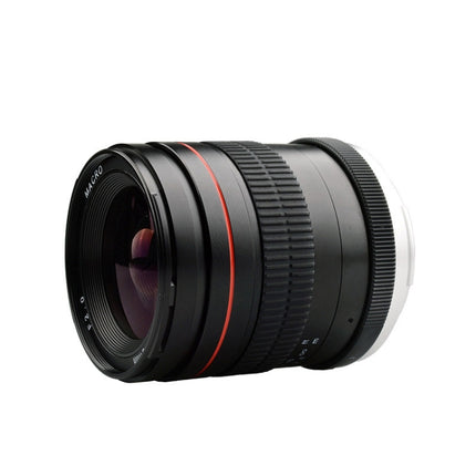Lightdow 35mm F2.0 Wide-Angle Lens Full-Frame Portrait Micro SLR Manual Fixed Focus Lens, 35mm F2.0