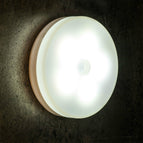 Rechargeable / White Light