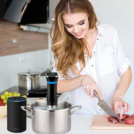 Low Temperature Slow Cooker Thawed Vacuum Steak Machine