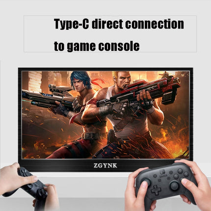 ZGYNK TPZ1303 Type-c Portable Computer Extender Display, US Plug