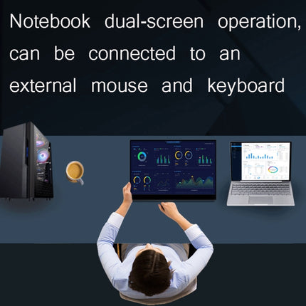 15.6 Inch Portable 1080P Display, Touch Version